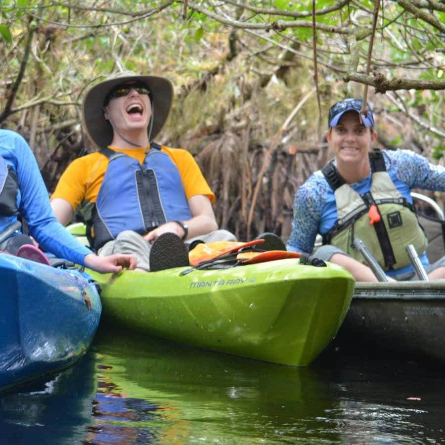 Everglades kajakksafari gjennom mangrovetunneler | GetYourGuide, image size:900x900