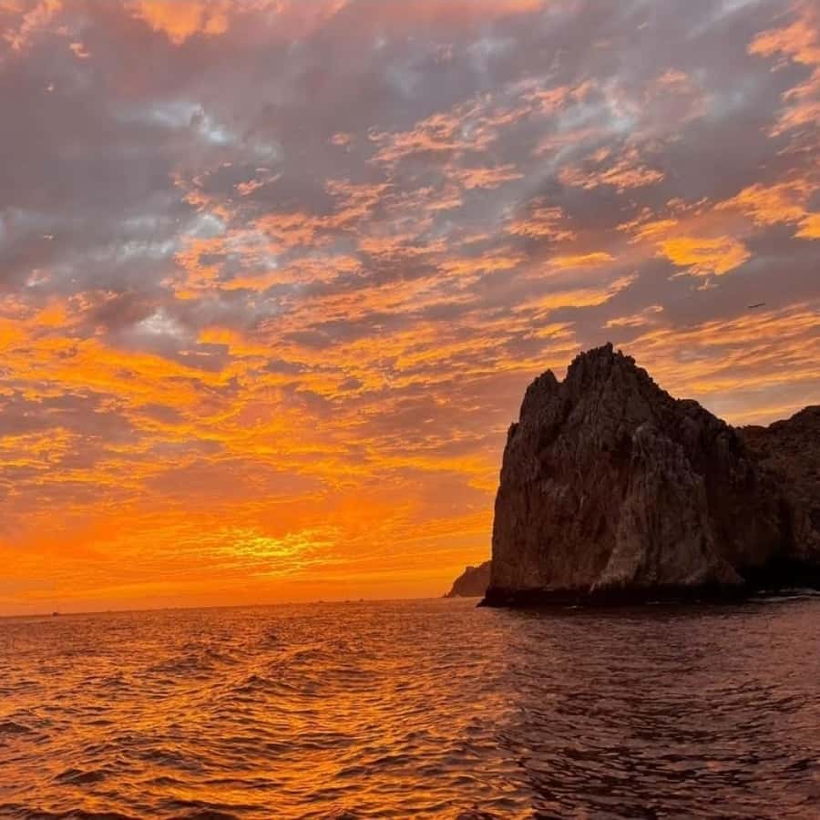 Cabo Sunset Arch Private Yacht Tour plus Dinner and Drinks