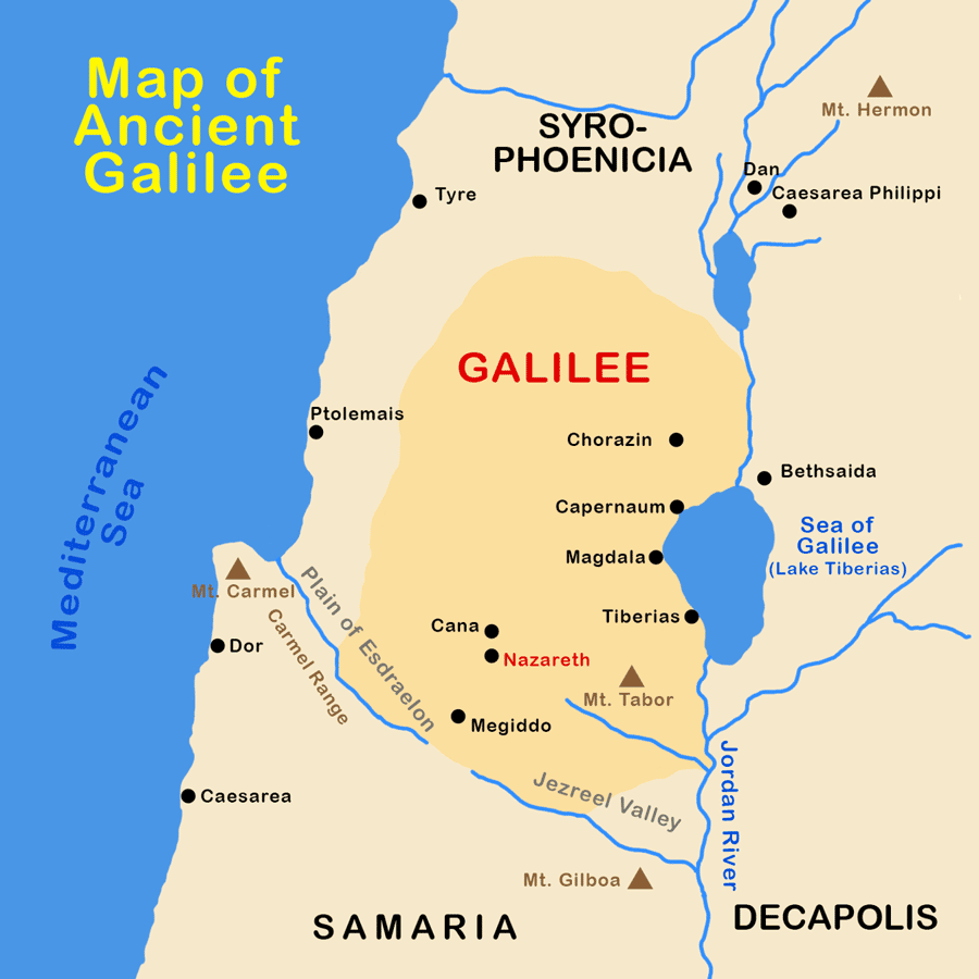 Galerie média