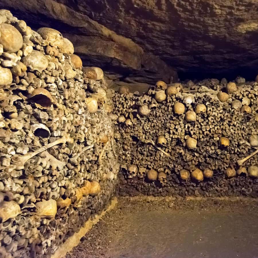 Galería de fotos para redes