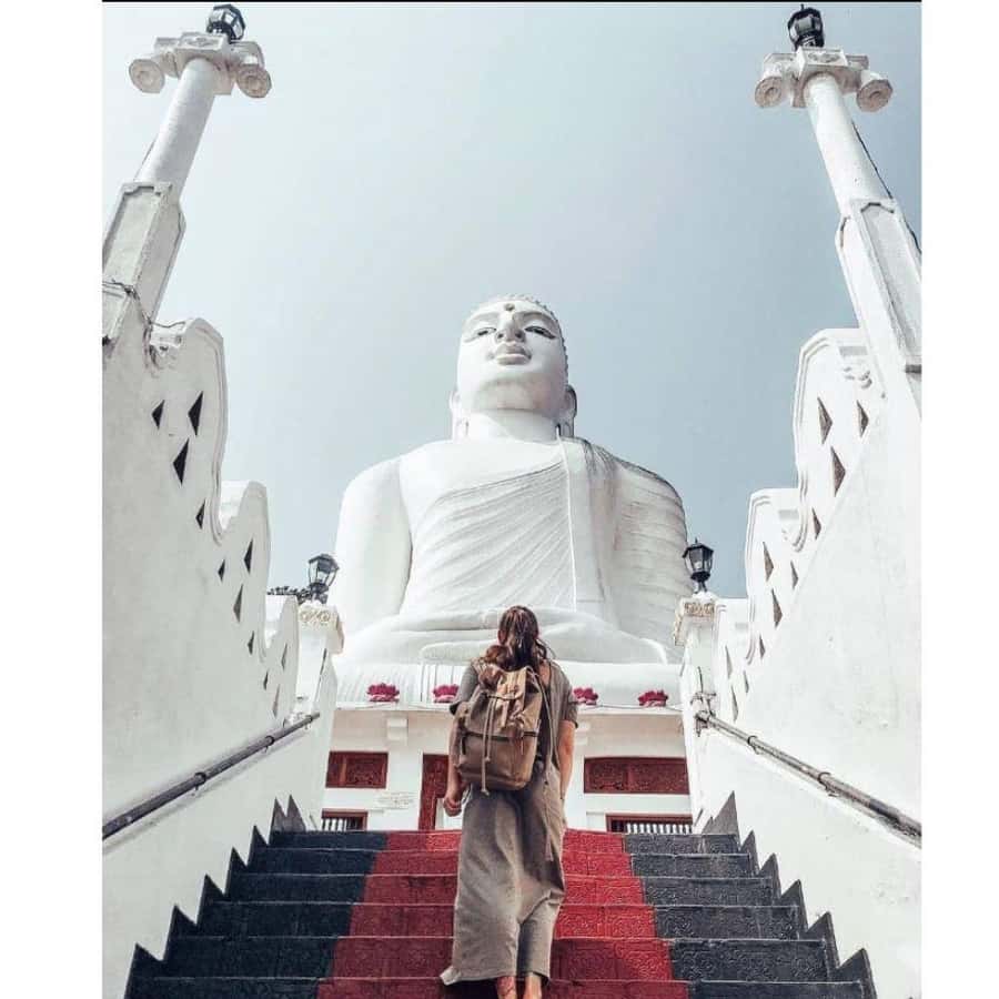 Galerie média