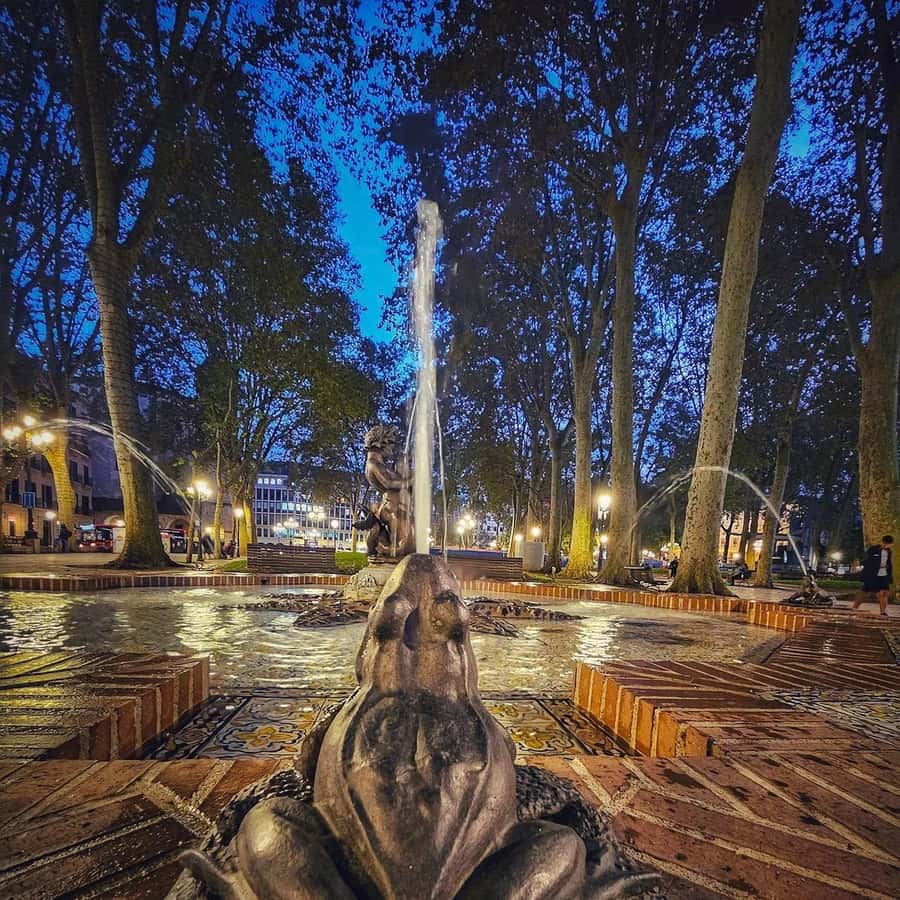 Galería de fotos para redes