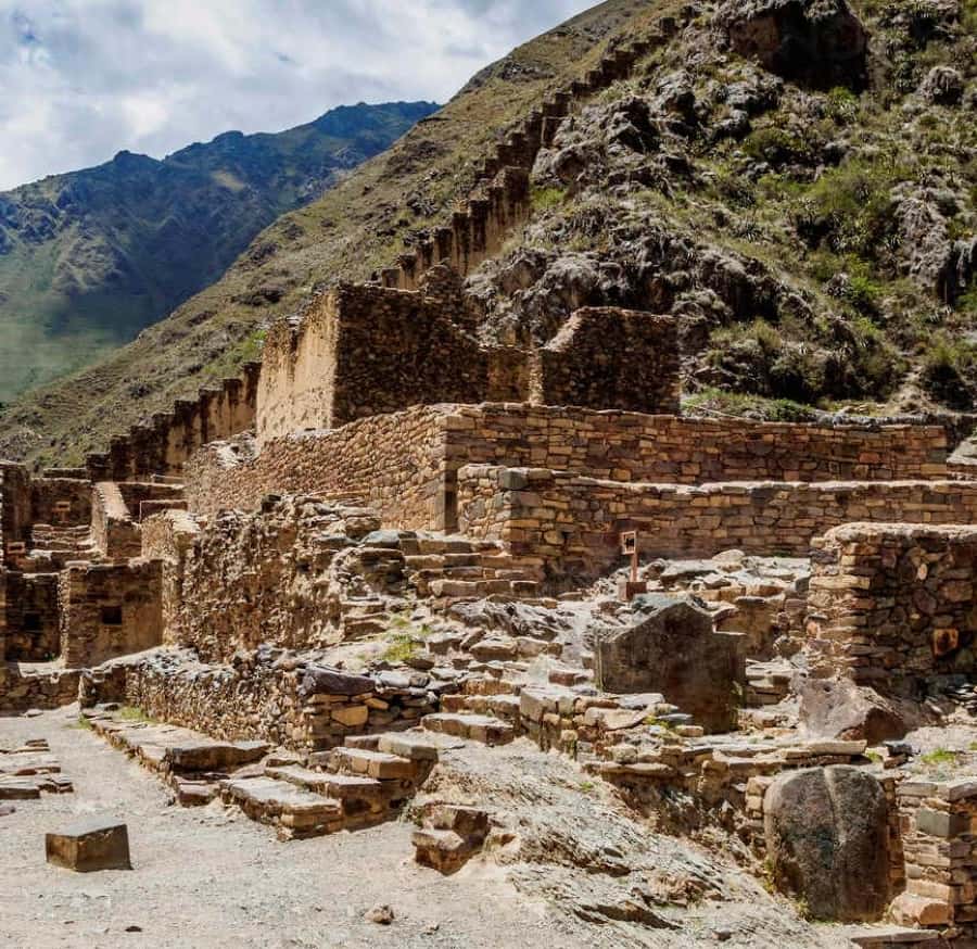Galería de fotos para redes