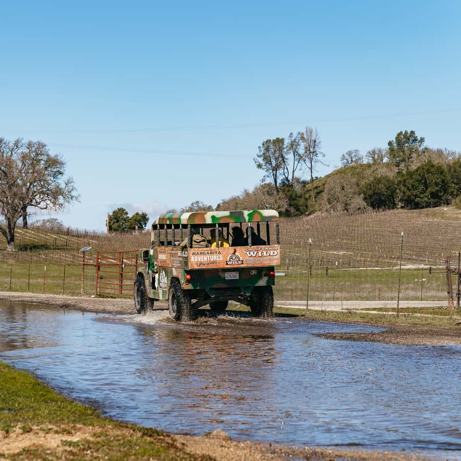San Luis Obispo: Santa Lucia Guided Nature Tour GetYourGuide