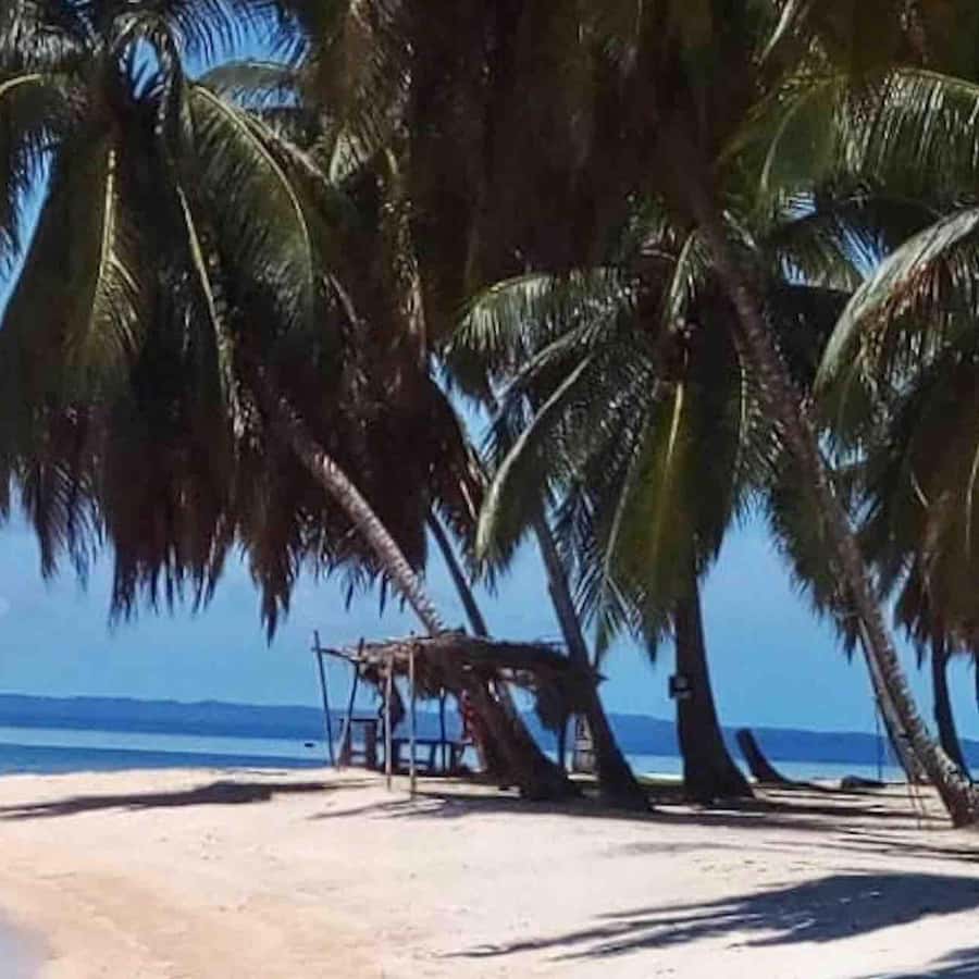 Galería de fotos para redes