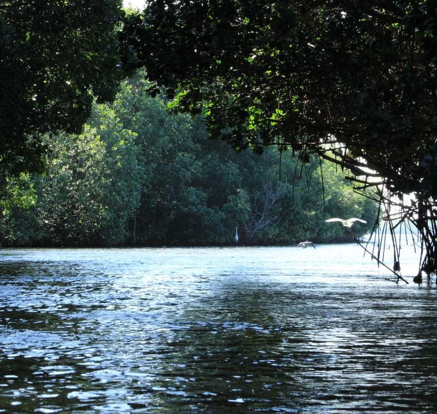 From Puerto Escondido: Day Trip to Chacahua National Park