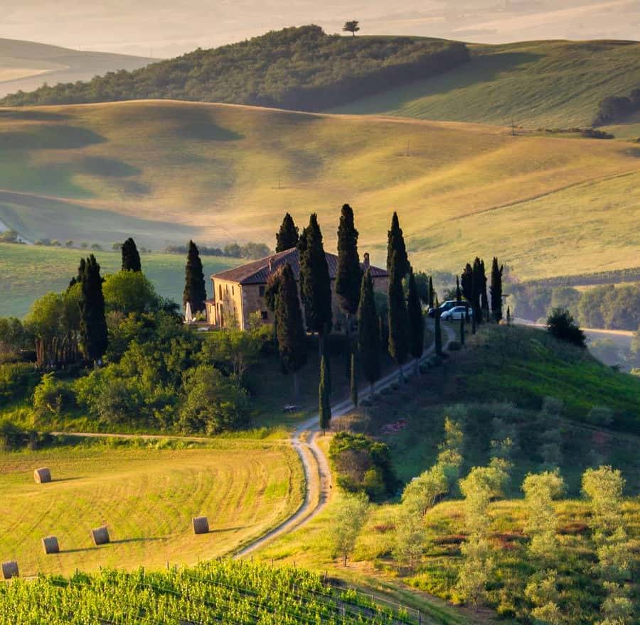 ROMANTIC WINE TOUR FOR Wine Tour in Chianti (Tuscany