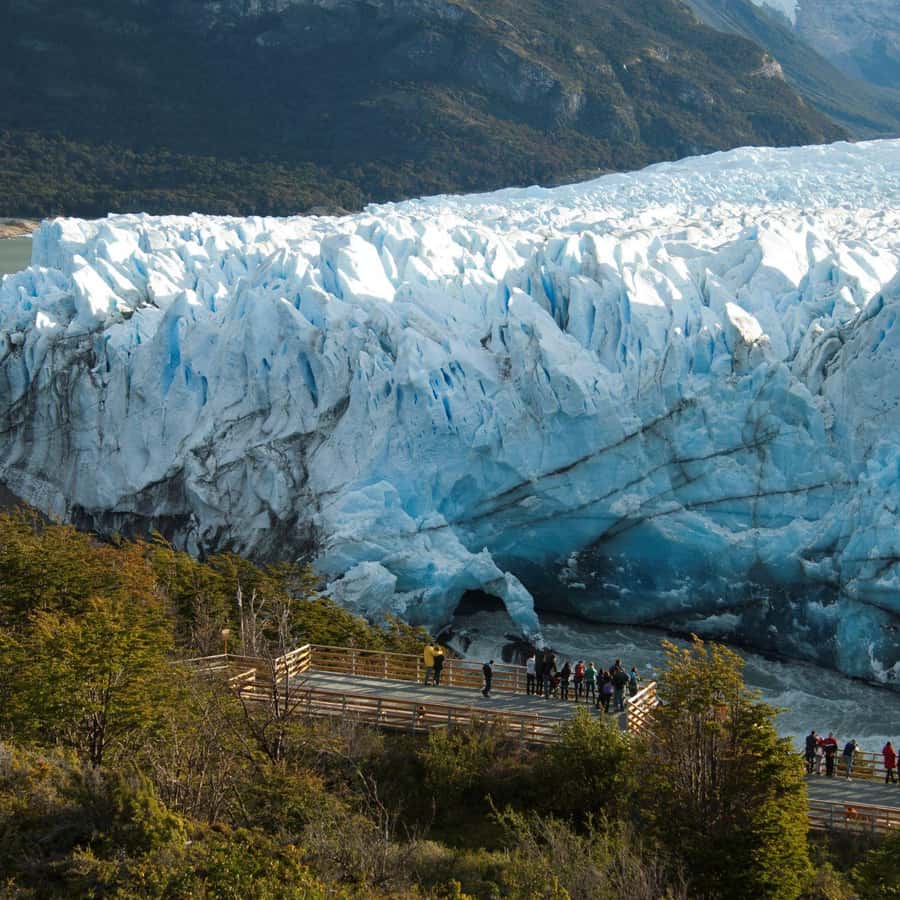 Galería de fotos para redes