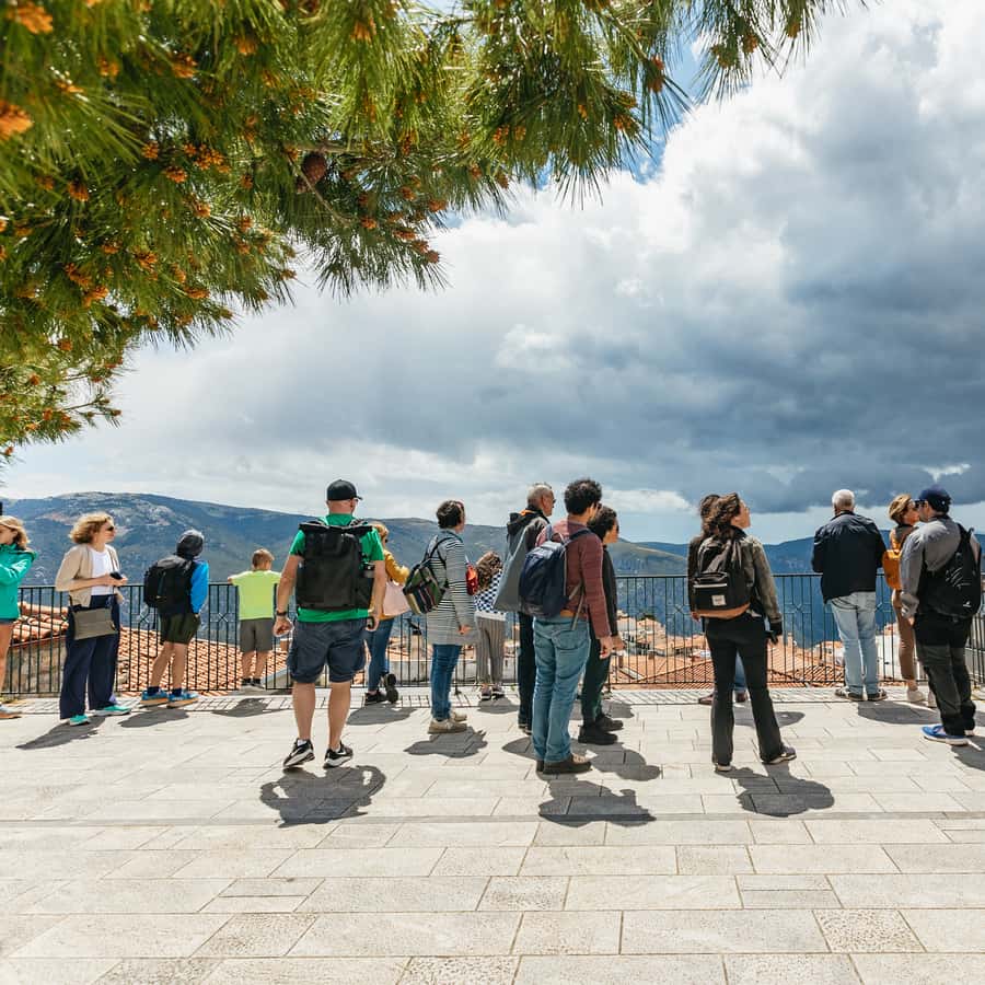 Galería de fotos para redes