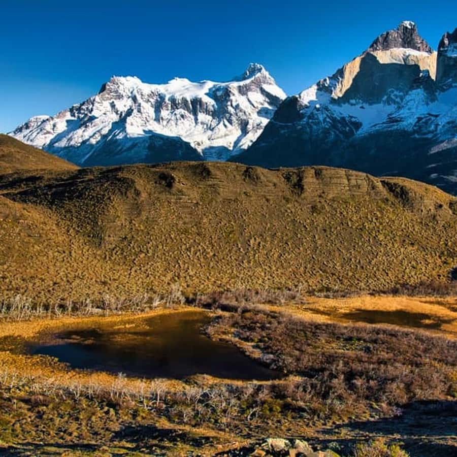Galería de fotos para redes