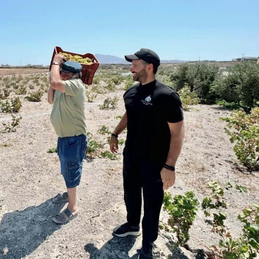 Santorini: Farm to Table Gastronomy Experience