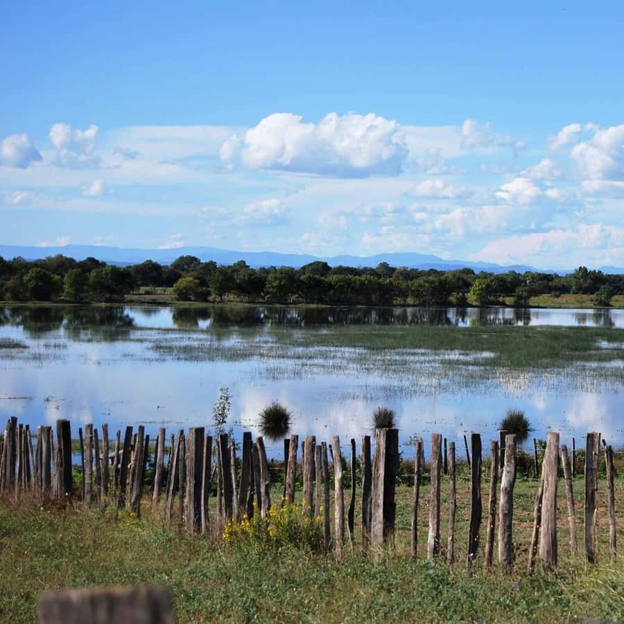 Galería de fotos para redes