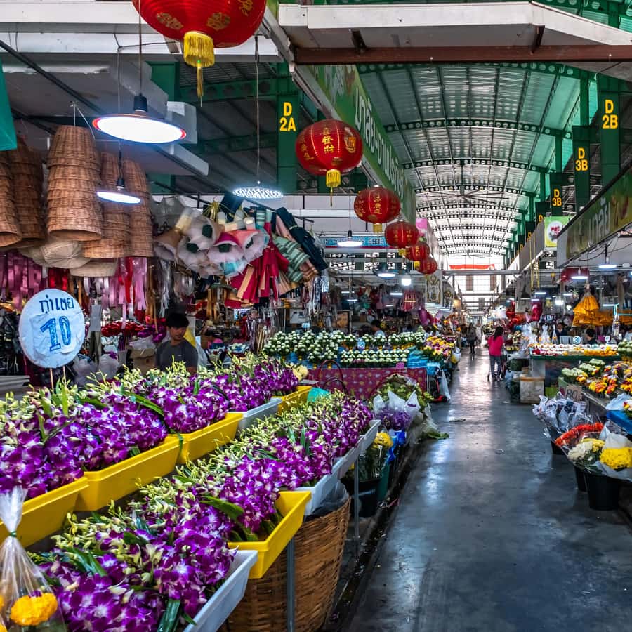 Personalizza il tuo tour della città di Bangkok e delle province