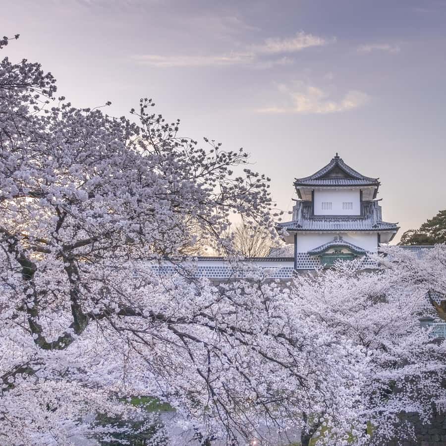メディア コラージュ
