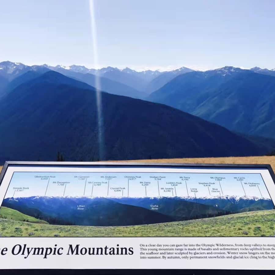 Seattle: Olympic National Park Full-Day Tour & Scenic Ferry