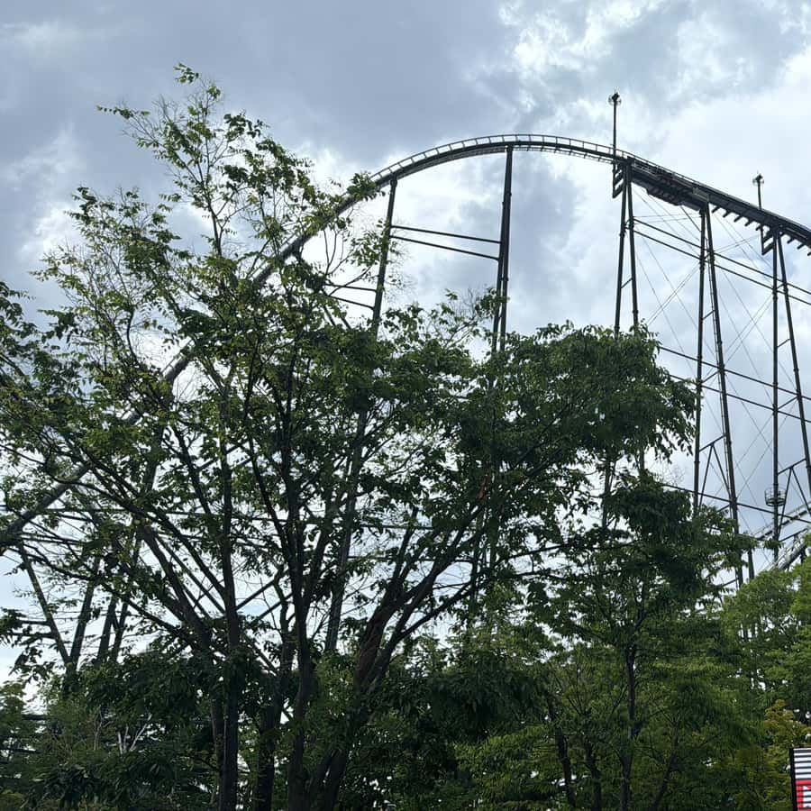 メディア コラージュ