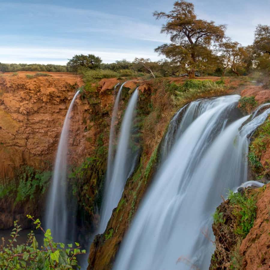 Galería de fotos para redes