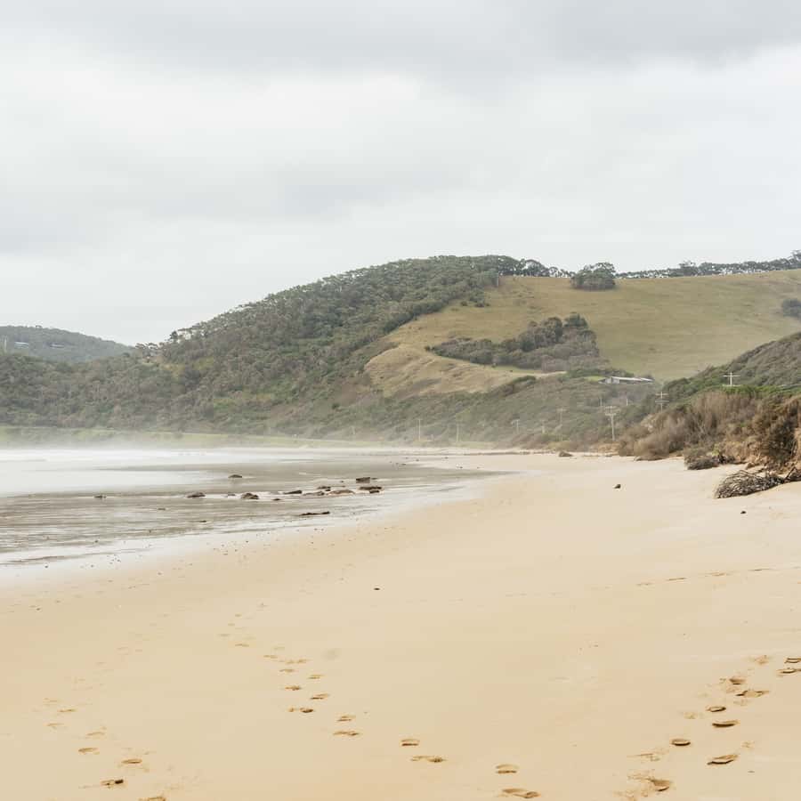 Colagem de mídia