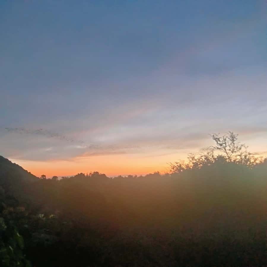 Colagem de mídia