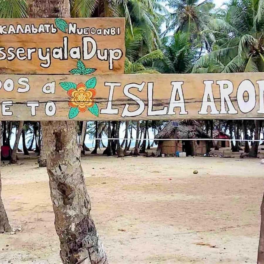 Galería de fotos para redes