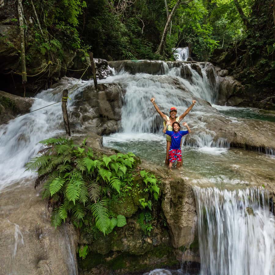 Fru Brunbjørn, image size:900x900