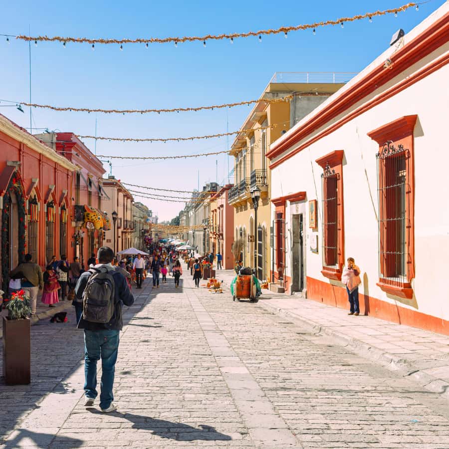 Galería de fotos para redes