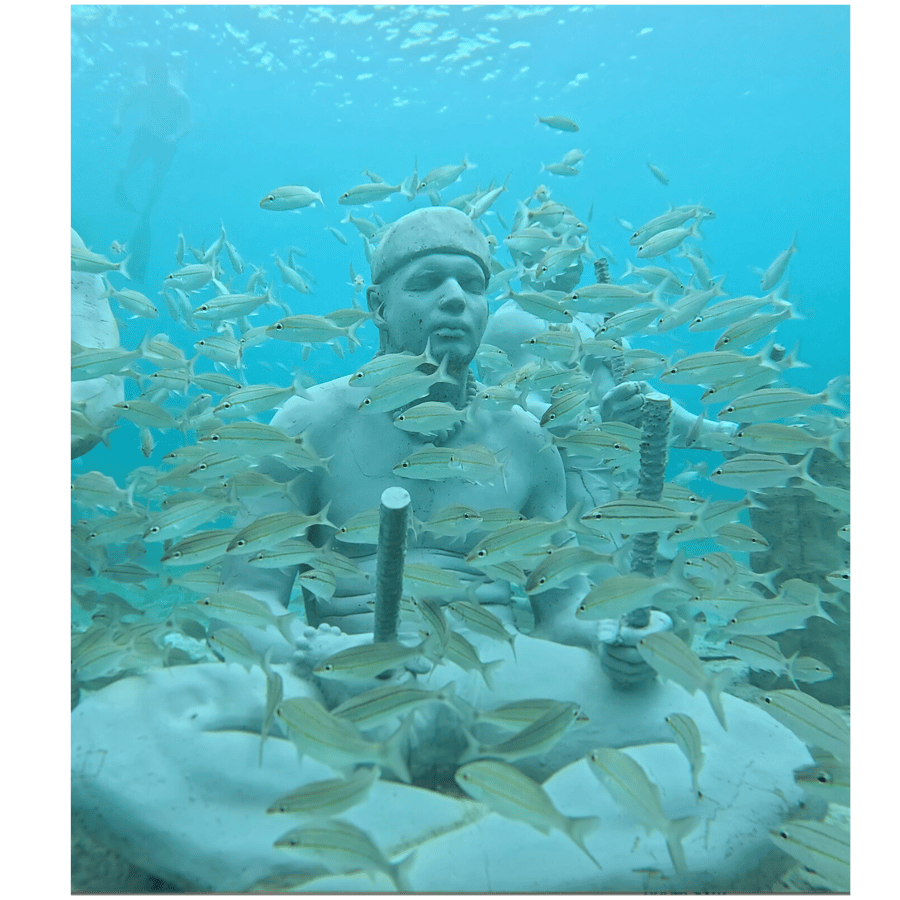 Underwater Sculpture Park Snorkel Adventure