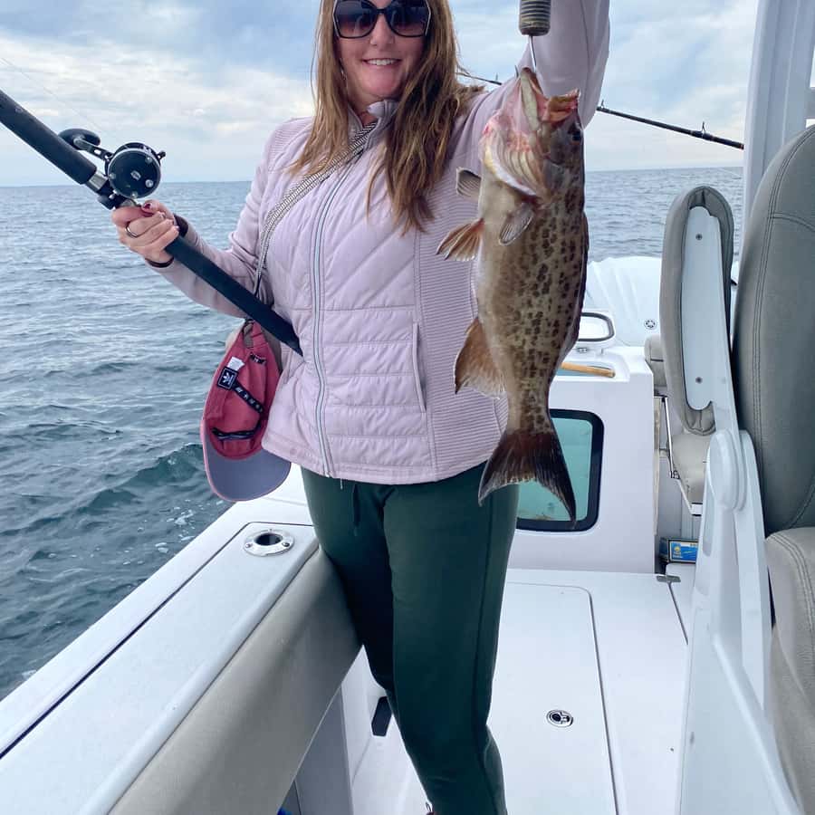 德斯汀：魚和樂趣德斯汀！ | GetYourGuide