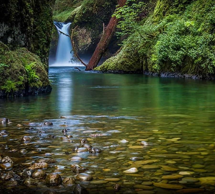 Jim Corbett: 3-Day Safari Tour by Flight from Goa GetYourGuide