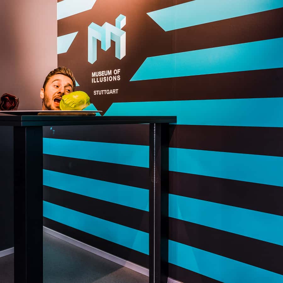 Galerie média