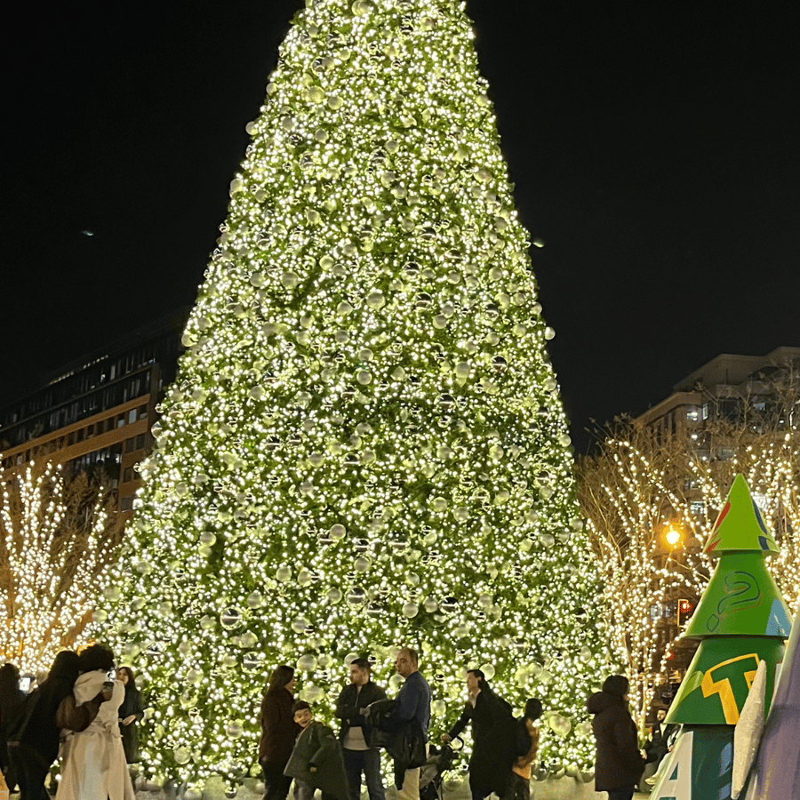 Washington D.C. : visite en bus du sapin de Noël et des illuminations |  GetYourGuide, image size:900x900