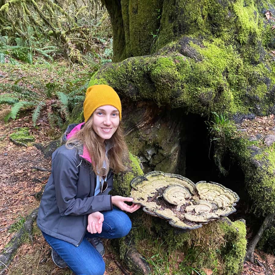Rainforest and Olympic National Park Highlights