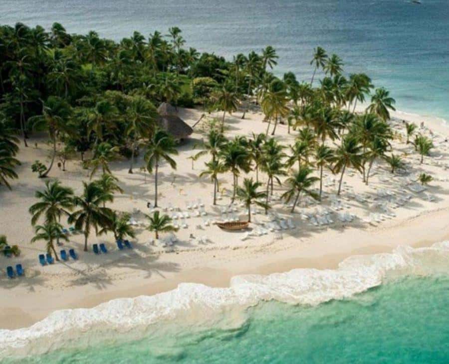 Punta Cana:Samaná Bay,Bacardí Island and El Limón Waterfall