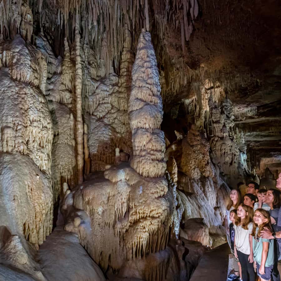 San Antonio: Natural Bridge Caverns Hidden Wonders Tour
