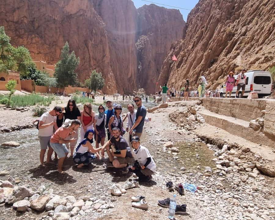 Galería de fotos para redes