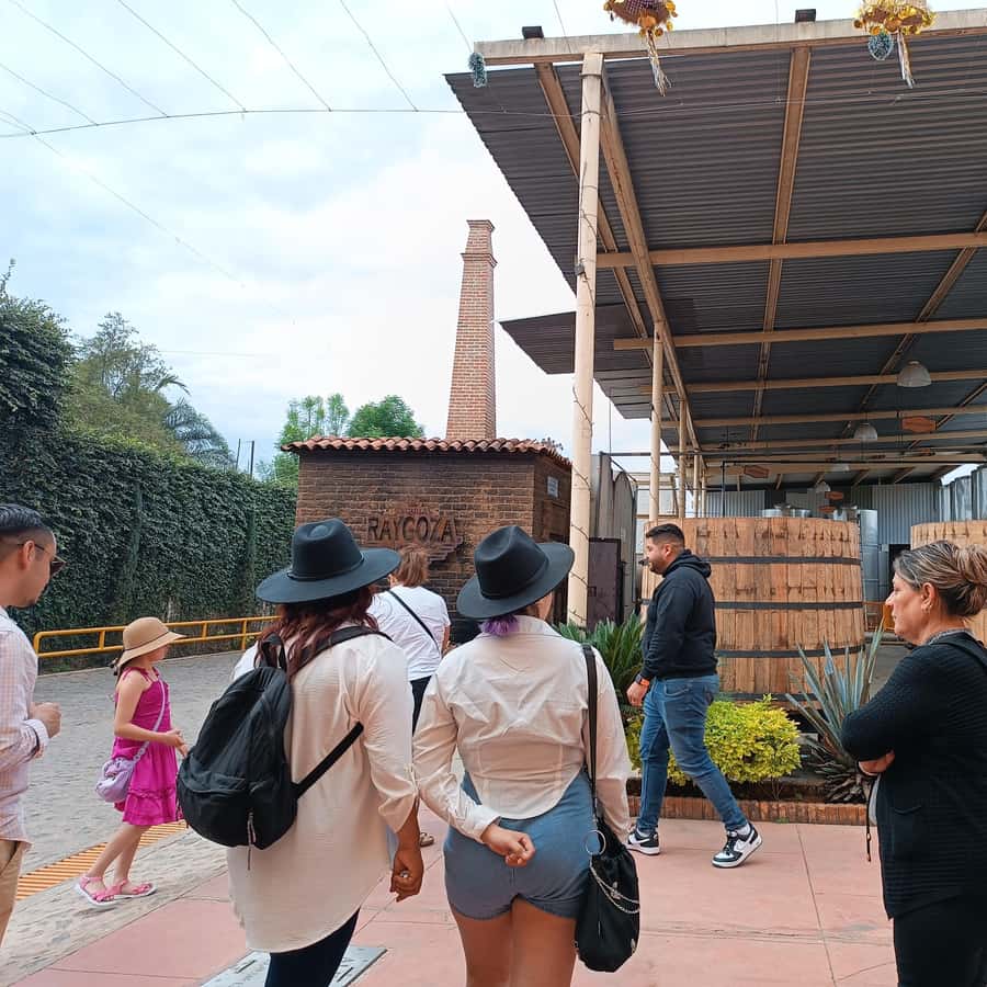 Galería de fotos para redes