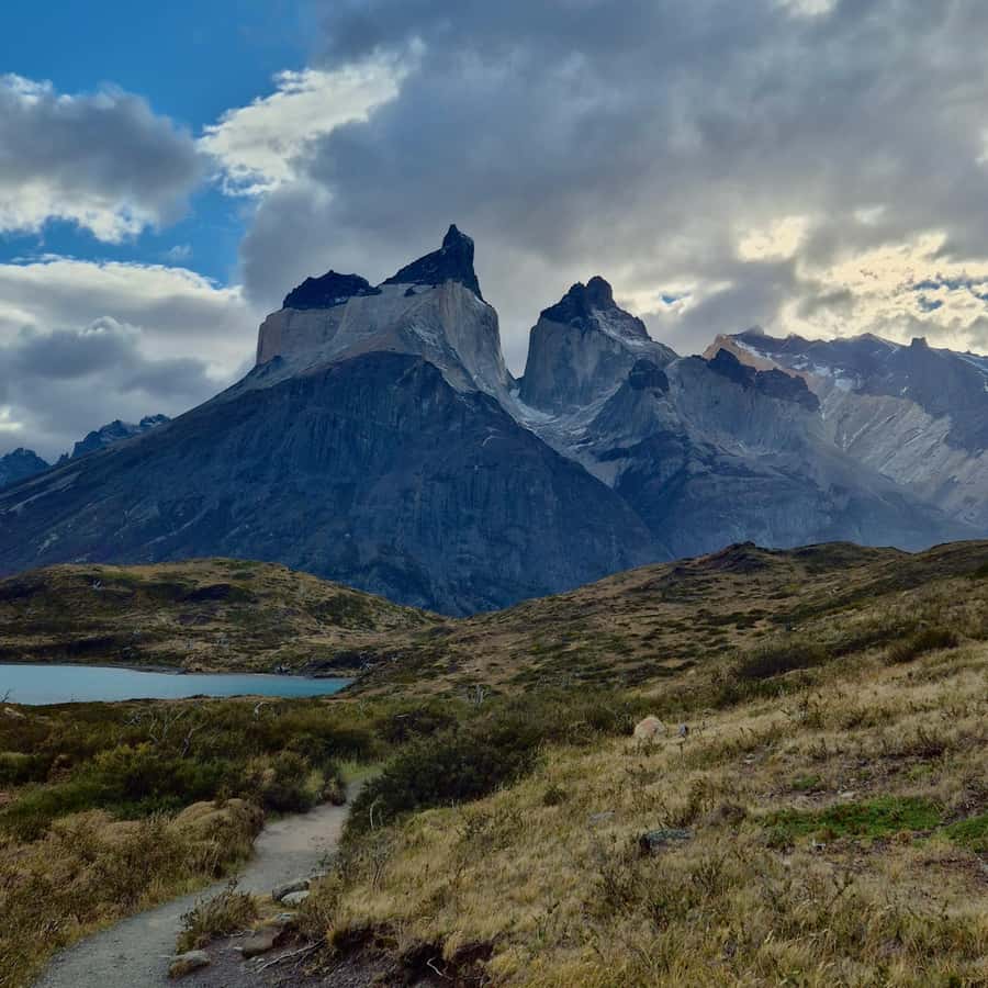 Galería de fotos para redes