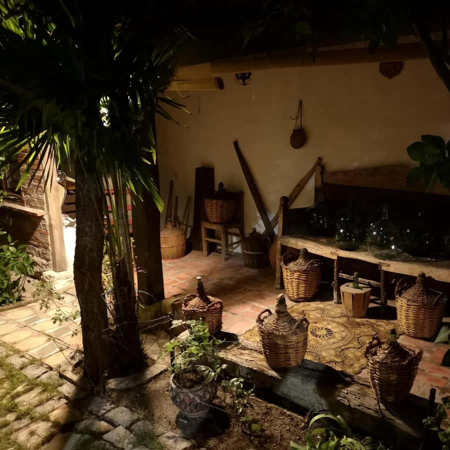 Galería de fotos para redes
