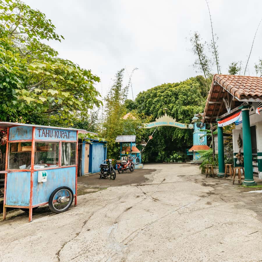 Colagem de mídia
