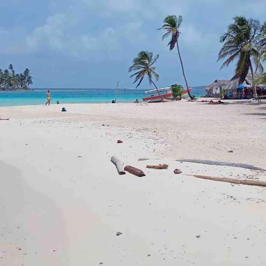 Galería de fotos para redes