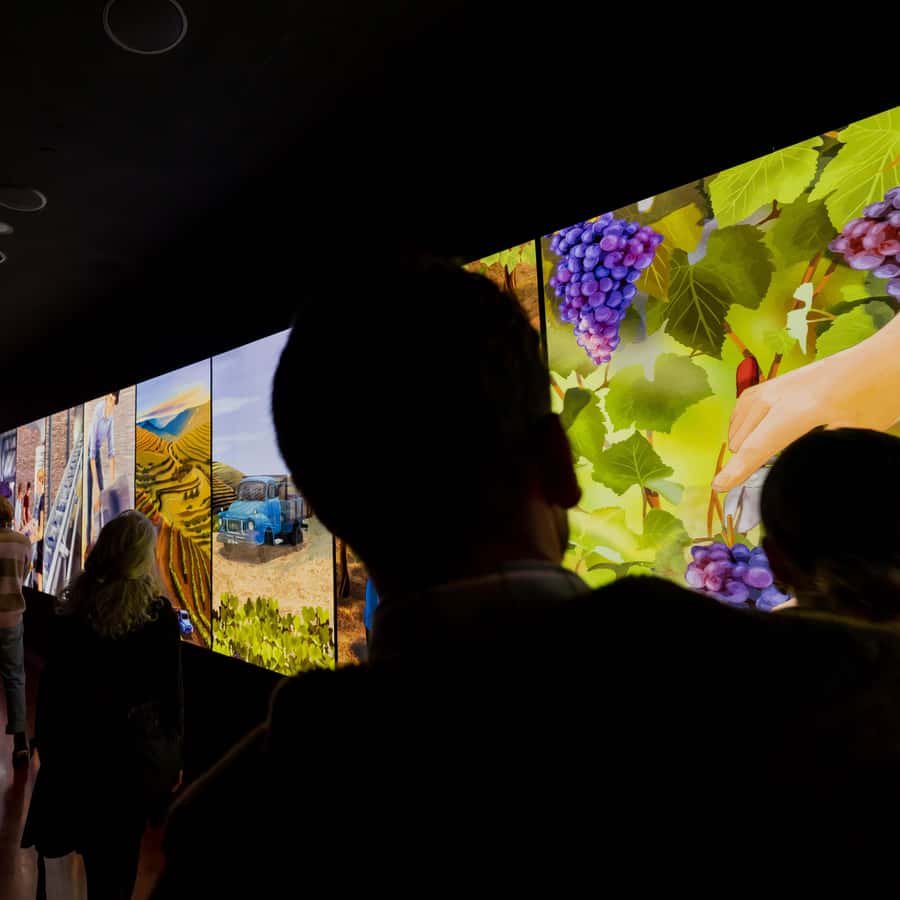 Galerie média