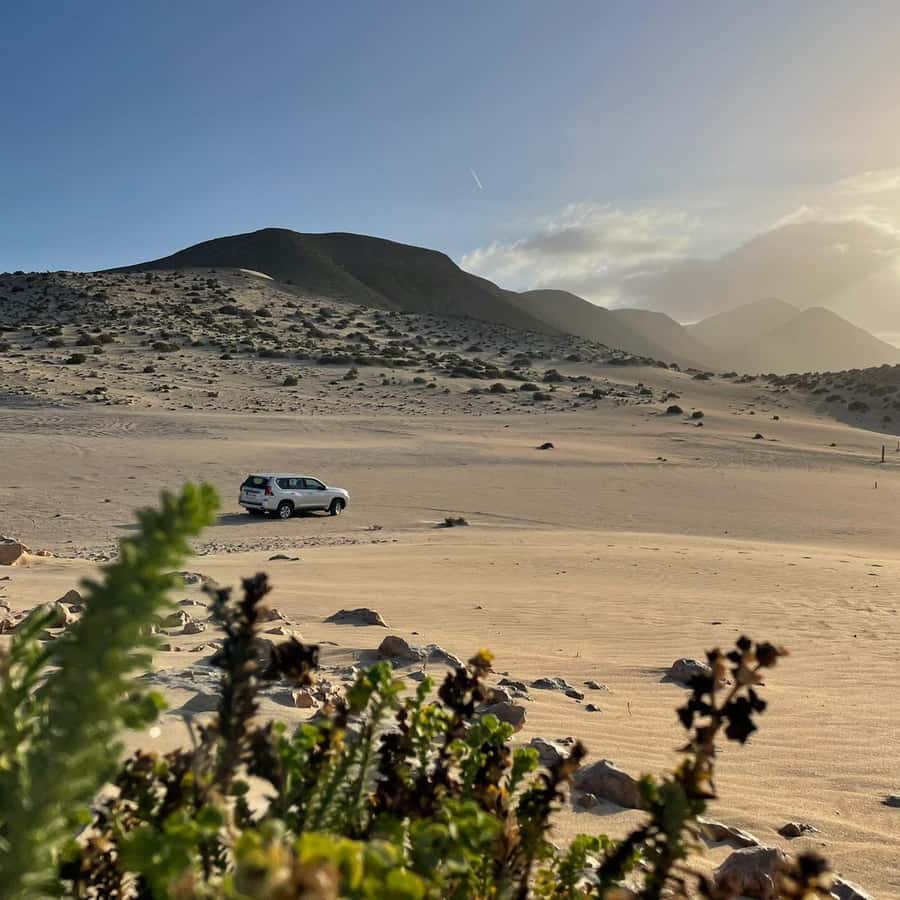 Galería de fotos para redes