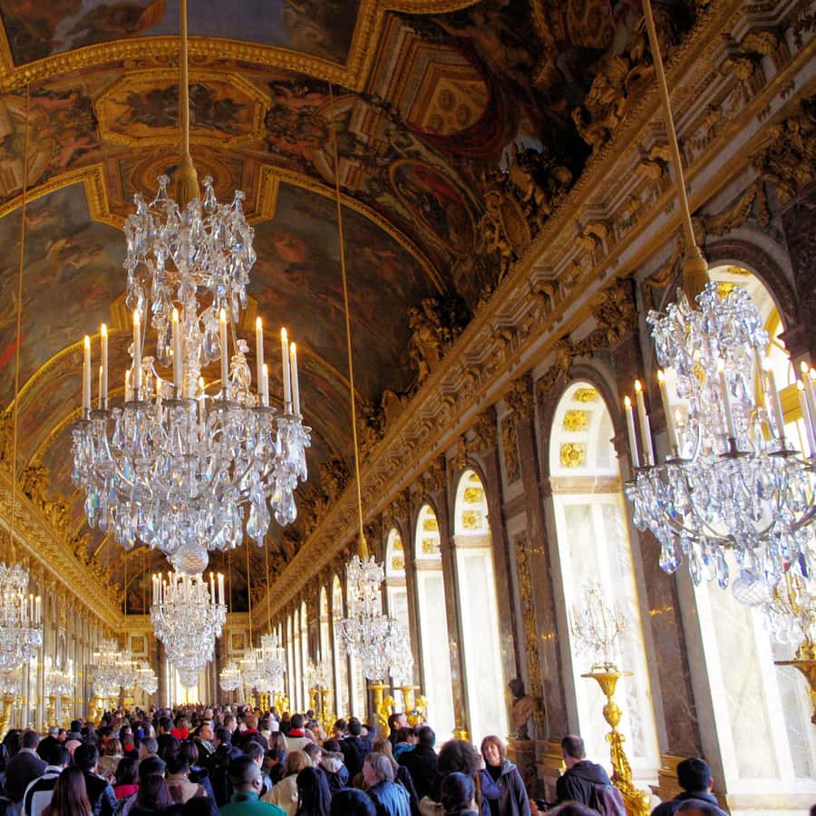Galerie média