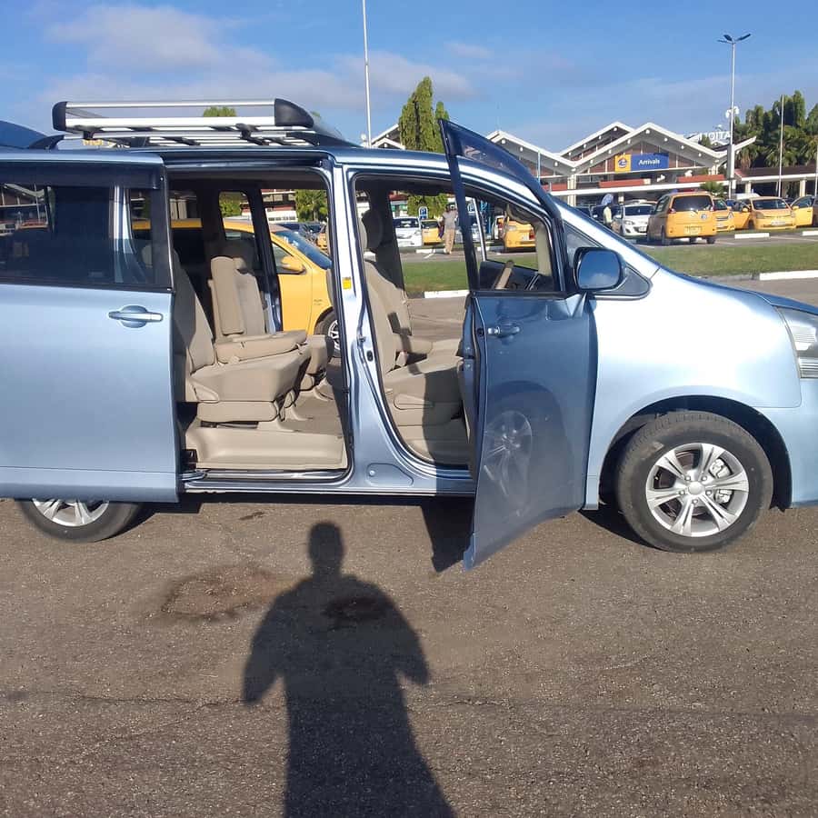 Colobus Monkey Diani