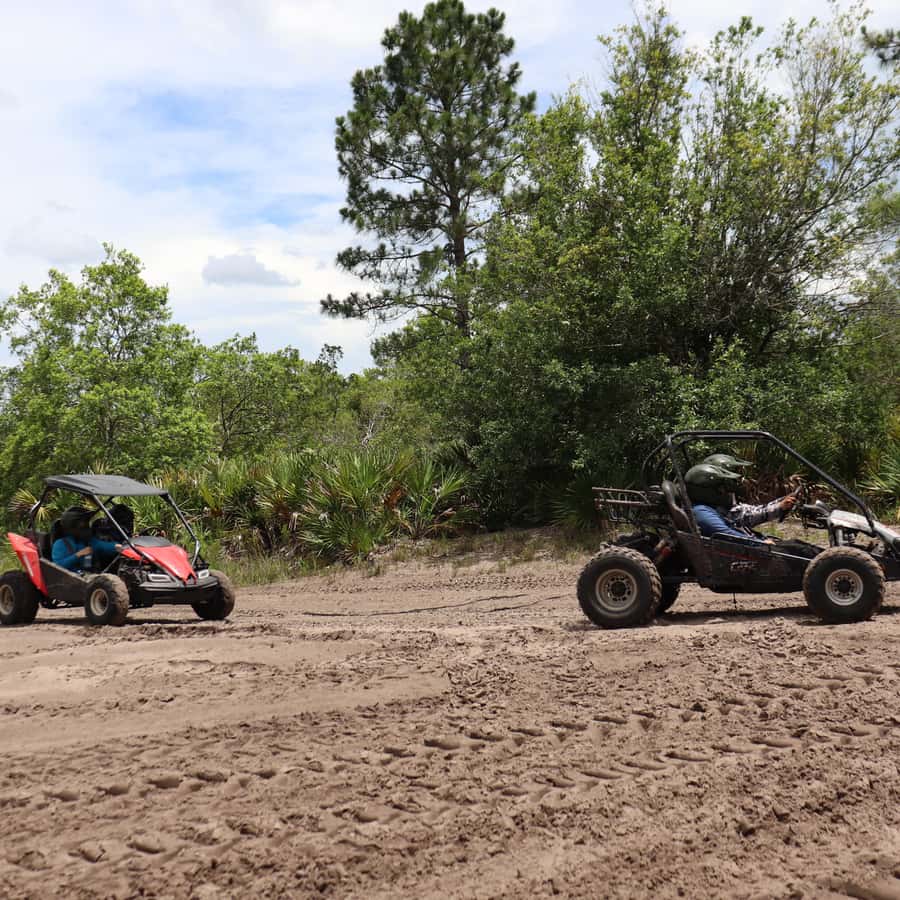 Houston: Dune Buggy Adventures