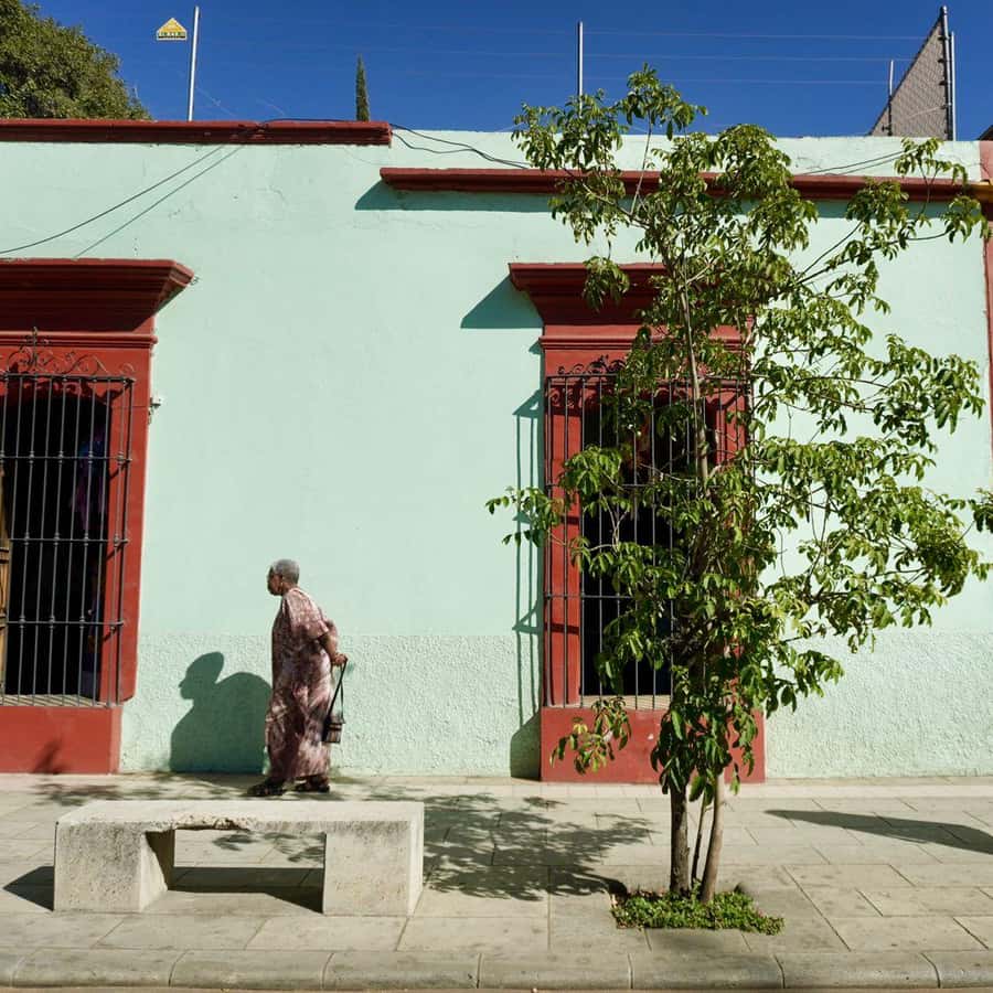 Galería de fotos para redes