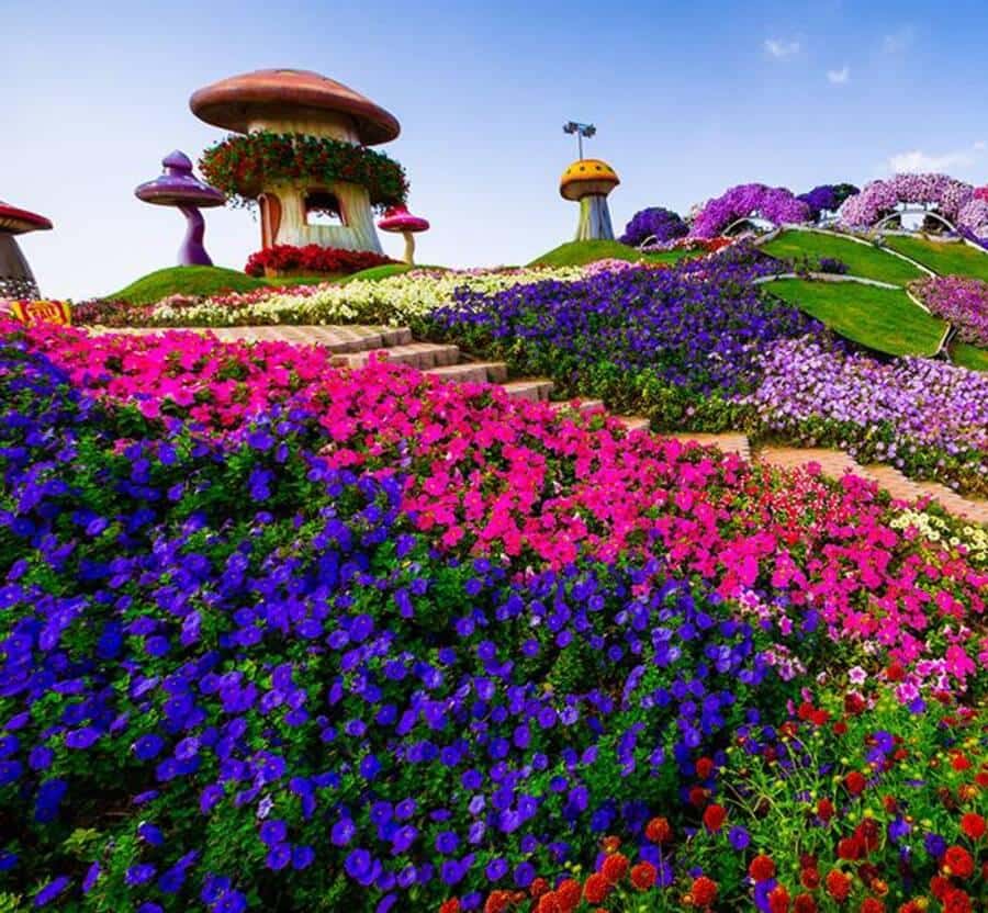 Dubai: Miracle Garden Tickets with Round-trip Transfer