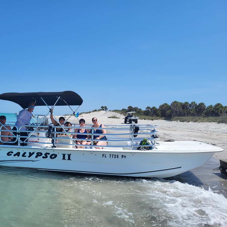 Aventura de 2,5 horas en la Isla de Cayo Concha - Delfines y Conchas |  GetYourGuide, image size:900x900