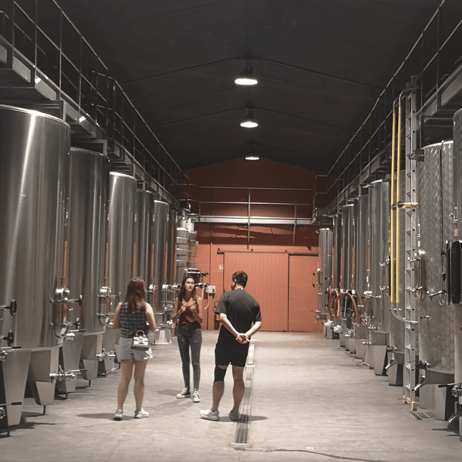 Ruta del vino de Médoc desde Burdeos: 2 bodegas y 6 vinos | GetYourGuide, image size:900x900