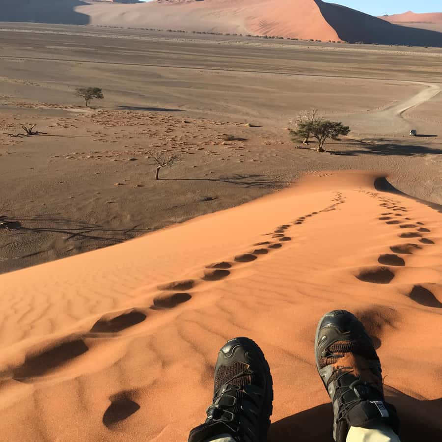 Galería de fotos para redes